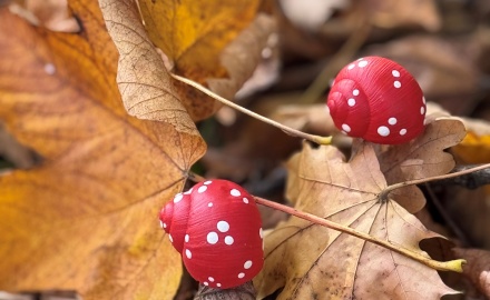 Glücksschnecke – Ein kleiner Glücksbringer für jede Gelegenheit